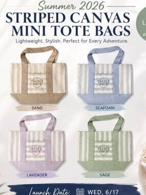 Mini Trader Joe’s Striped Tote Bag set